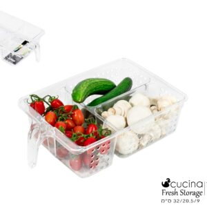 ארגונית איחסון-AMBER