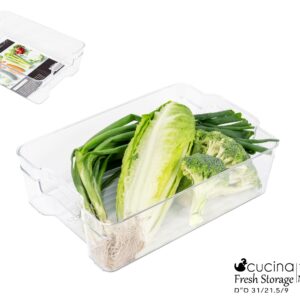 ארגונית איחסון-NOFECH