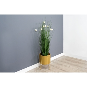 מעמד מתכת נמוך לנוי וצמחייה-זהב