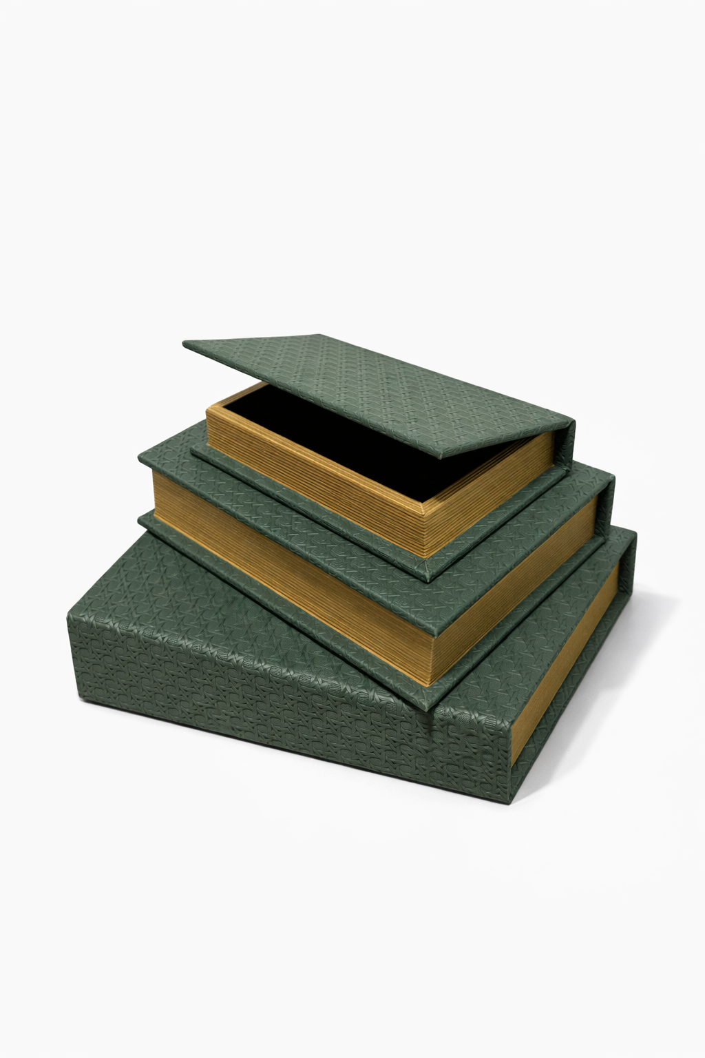 9BFDC08E-386F-4079-A089-A9BBA95C628E